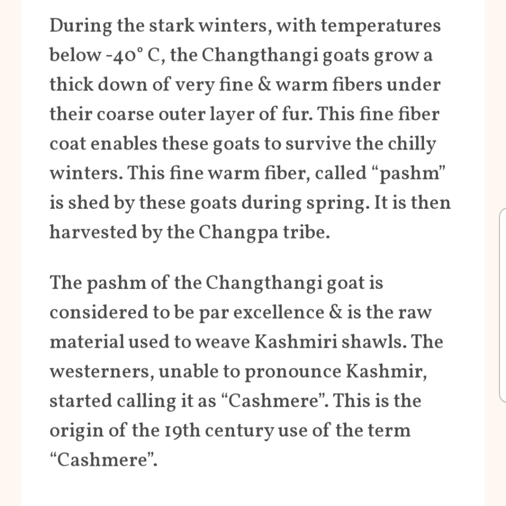 🧣 CASHMERE PASHMINA - Picture 7 of 10